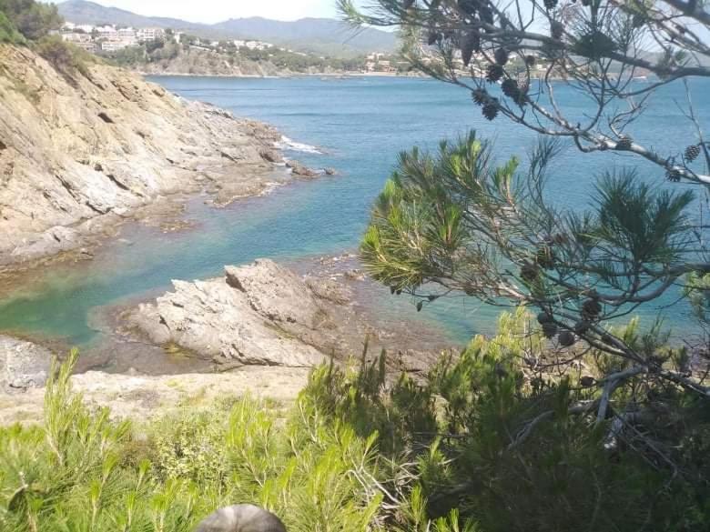 Sant Jordi Santiago Lejlighed Tossa de Mar Eksteriør billede