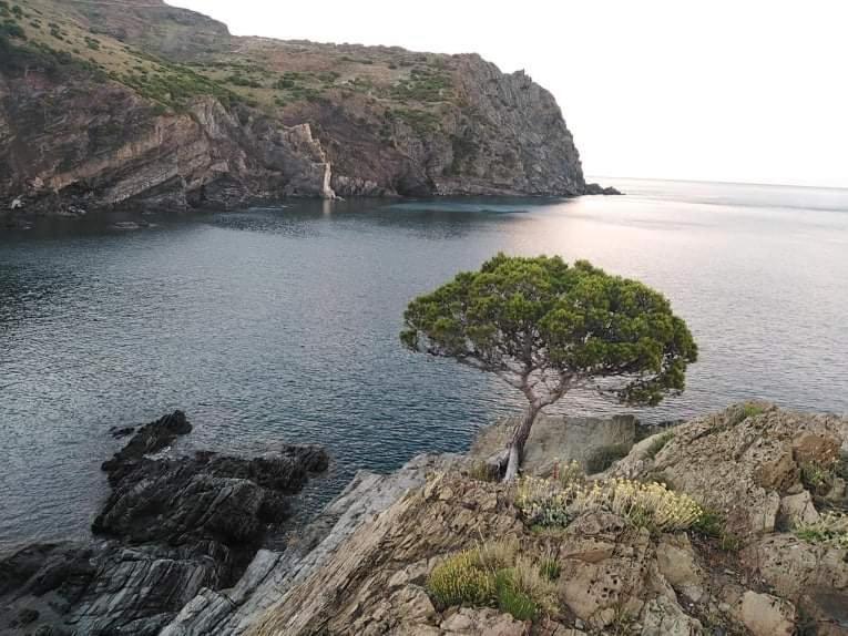 Sant Jordi Santiago Lejlighed Tossa de Mar Eksteriør billede